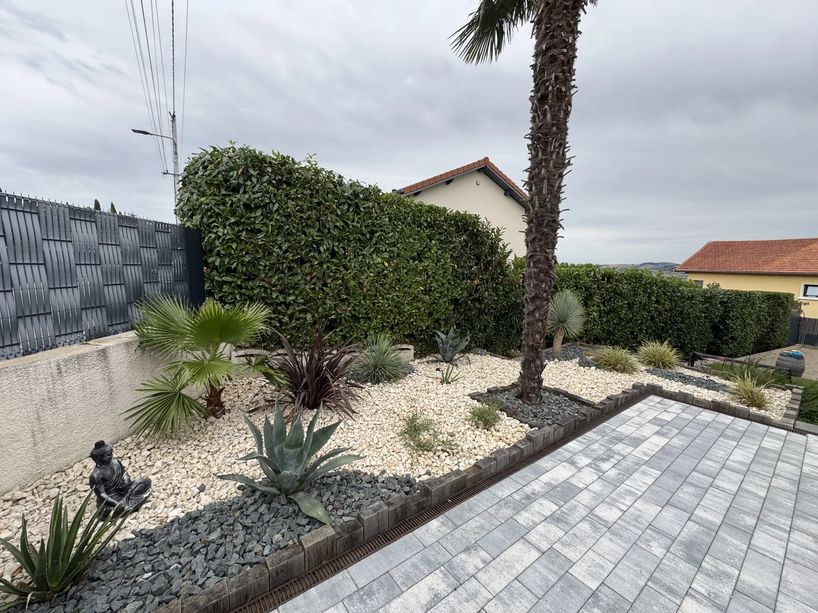 Jardin résidentiel photographié, avec palmier, minéraux et haies